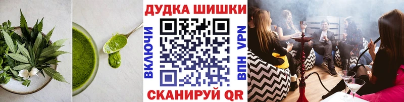 Купить закладки  Кудрово  Cannafood марихуана 