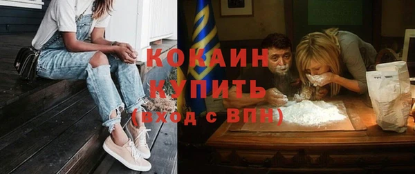 шишки Лабытнанги