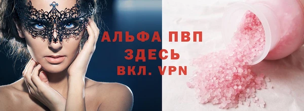 шишки Лабытнанги