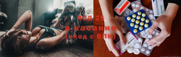 шишки Лабытнанги