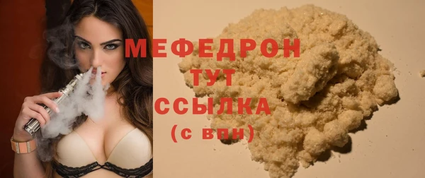 шишки Лабытнанги