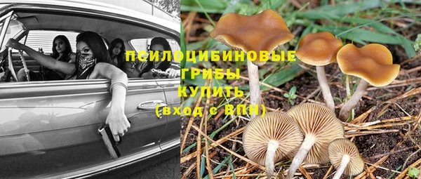 шишки Лабытнанги