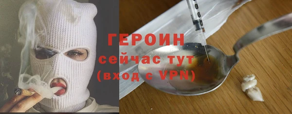 шишки Лабытнанги