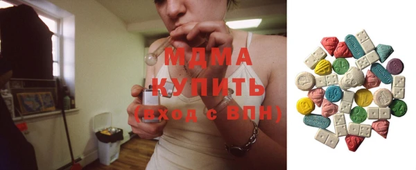 шишки Лабытнанги