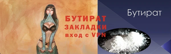 шишки Лабытнанги