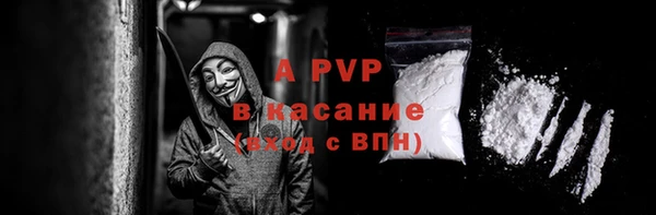 шишки Лабытнанги