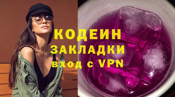 шишки Лабытнанги