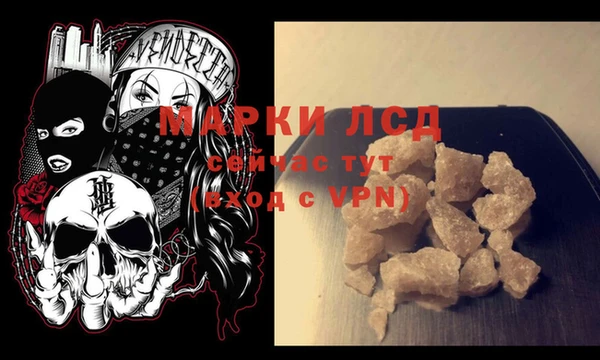 шишки Лабытнанги