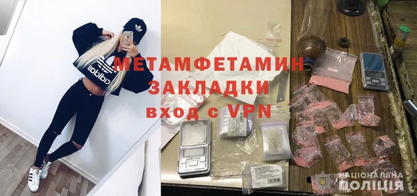 шишки Лабытнанги