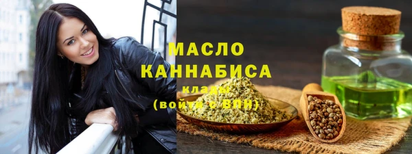 шишки Лабытнанги