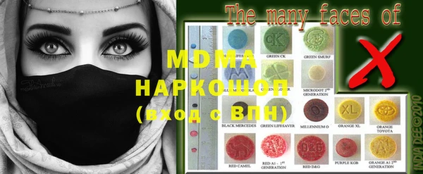 шишки Лабытнанги