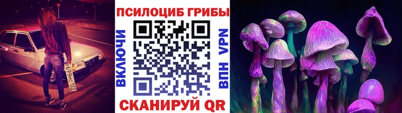 Галлюциногенные грибы GOLDEN TEACHER  Купить закладки  Кудрово 