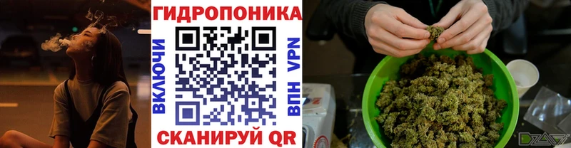 Купить где  Кудрово  Бошки марихуана White Widow 